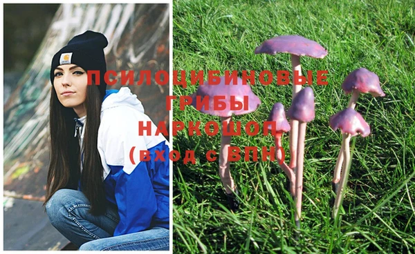 не бодяженный Балахна