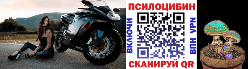 закладка  Тула  Псилоцибиновые грибы прущие грибы 