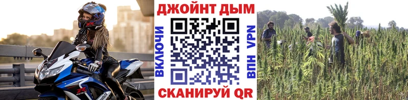 как найти закладки  Тула  Бошки марихуана SATIVA & INDICA 